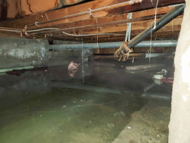  Colfax, WA Water damage restoration Pros