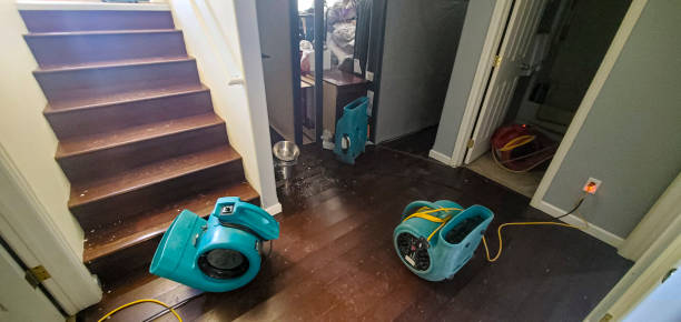 Best Professional water damage repair  in Colfax, WA