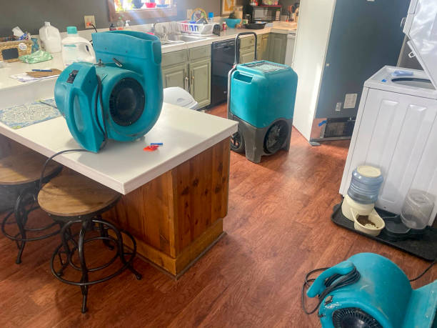 Best Water damage contractors near me  in Colfax, WA