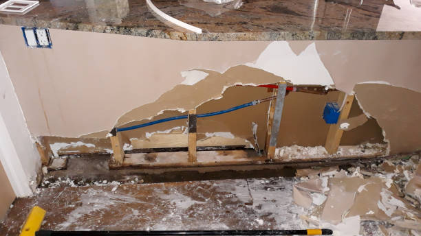 Best Water damage cleanup near me  in Colfax, WA