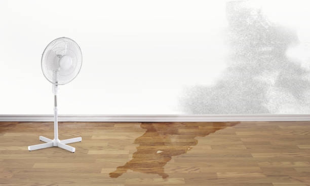 Best Water damage mitigation services  in Colfax, WA