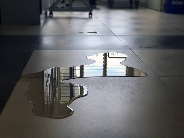 Best 24/7 water damage repair  in Colfax, WA