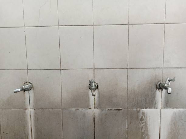 Best Emergency water damage restoration  in Colfax, WA