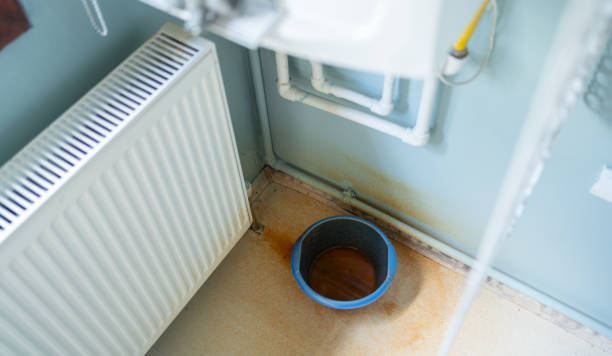 Best Local water damage restoration  in Colfax, WA