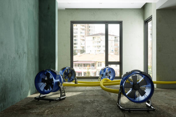 Water damage restoration mold remediation in Colfax, WA