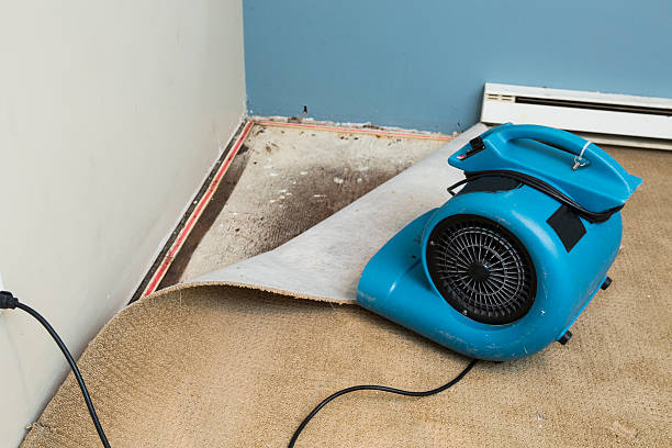 Best Water damage restoration process  in Colfax, WA